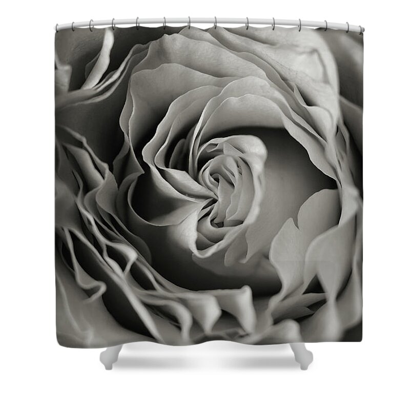 Flower Shower Curtain featuring the photograph Central by Michelle Wermuth
