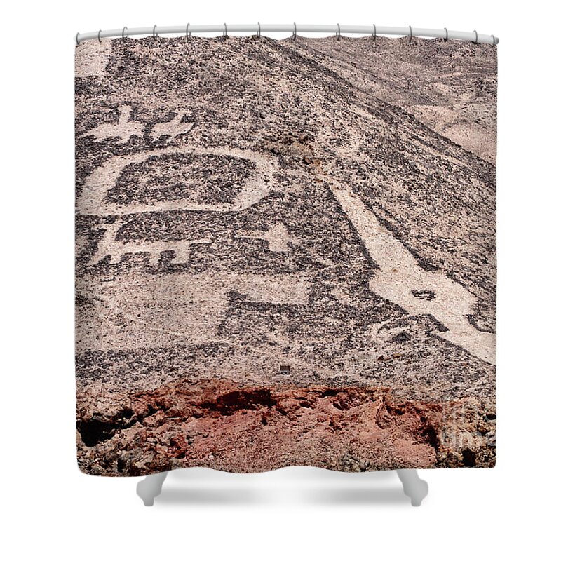 Chile Shower Curtain featuring the photograph Cerro Pintados Geoglyphs Chile by James Brunker