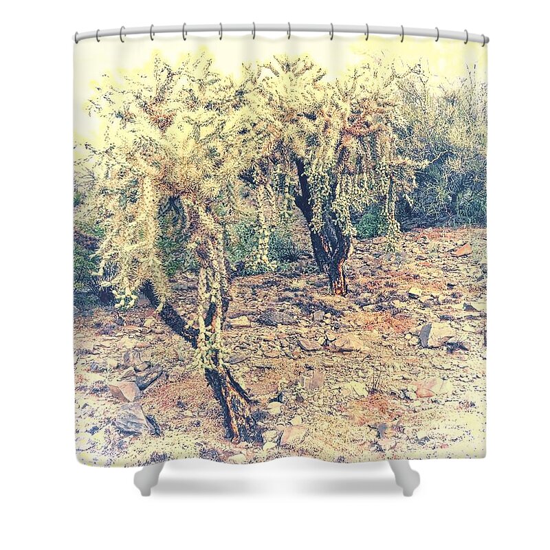 Affordable Shower Curtain featuring the photograph Chain Fruit Cholla by Judy Kennedy