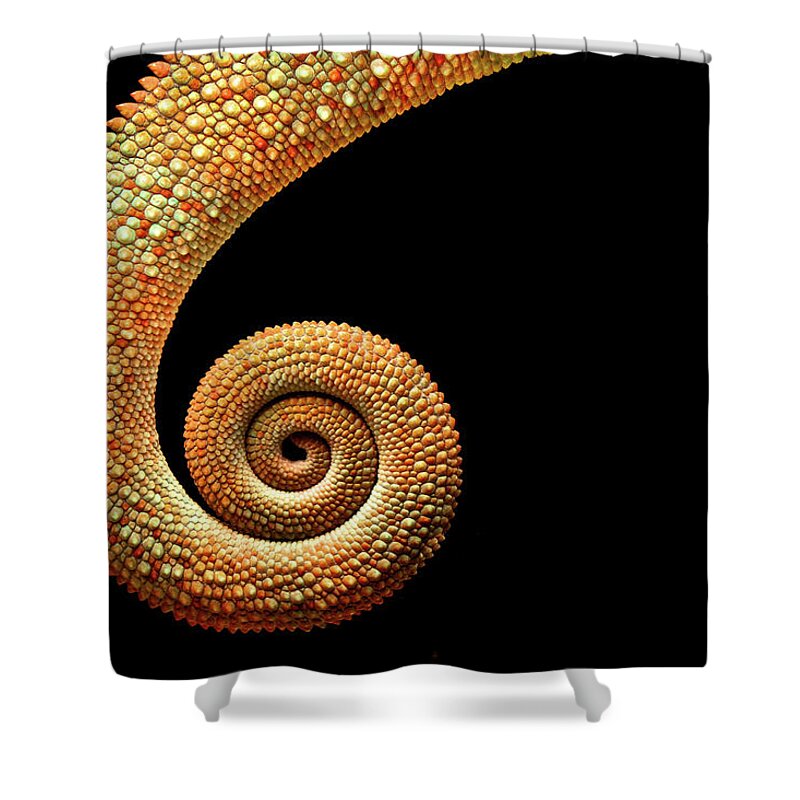 Animal Themes Shower Curtain featuring the photograph Chameleon Tail by Markbridger