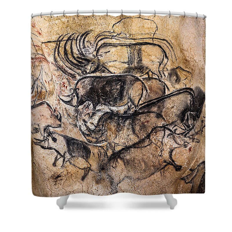 Chauvet Rhinoceros Panel Shower Curtain featuring the digital art Chauvet - Rhinoceros Panel by Weston Westmoreland