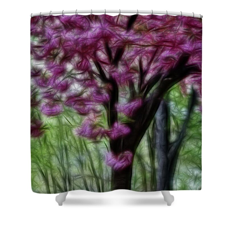 Cherry Blossom Tree Shower Curtain featuring the photograph Cherry Blossom Tree by Crystal Wightman
