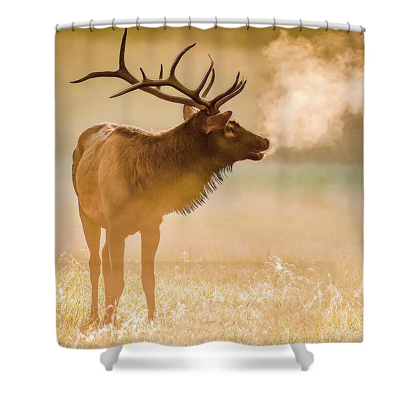 Elk Shower Curtain featuring the photograph Frosty Bugle Breath by Marcy Wielfaert