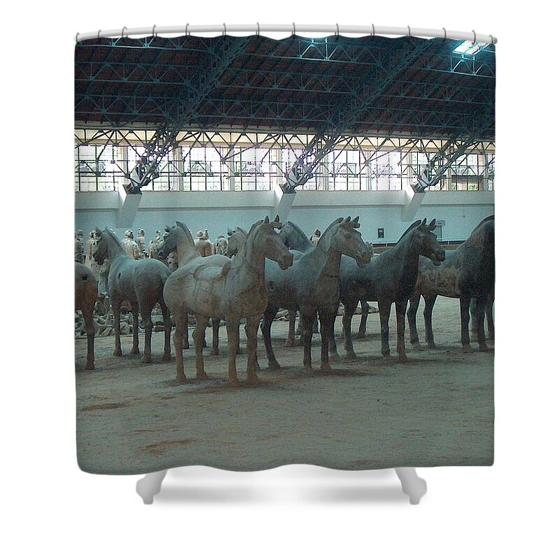 Horse China Shower Curtain featuring the photograph China horses by Will Burlingham