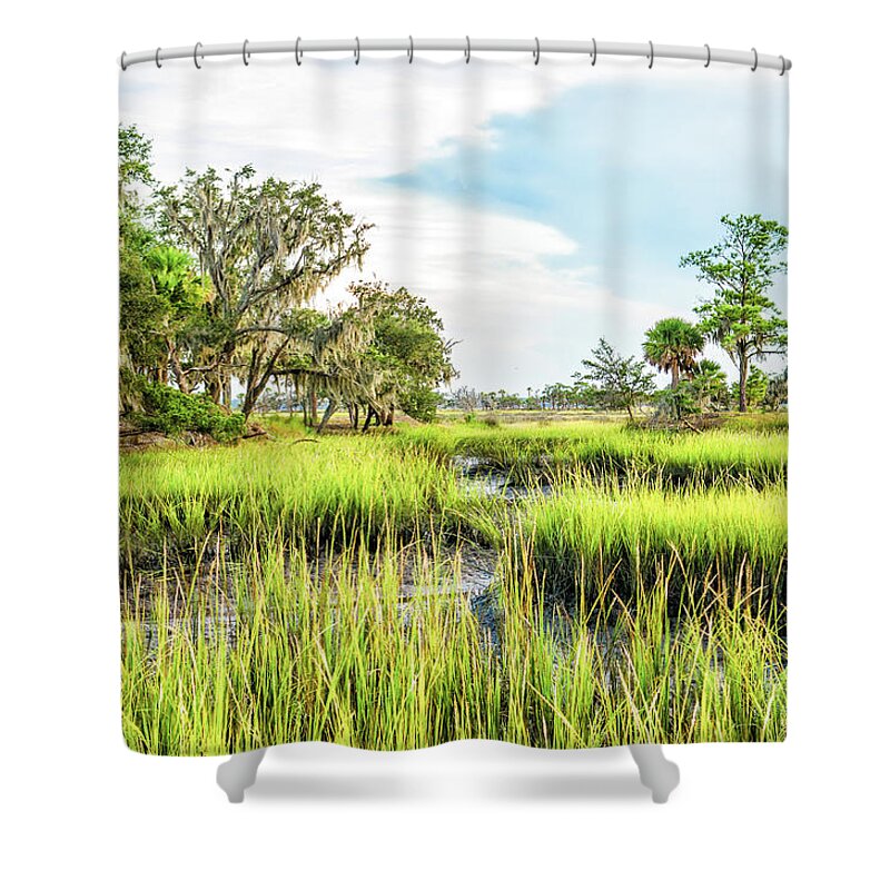 Marsh Shower Curtain featuring the photograph Chisolm Island - Marsh at Low Tide by Scott Hansen
