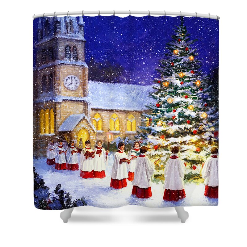 Christmas Coral Shower Curtain featuring the photograph Christmas Coral by Munir Alawi