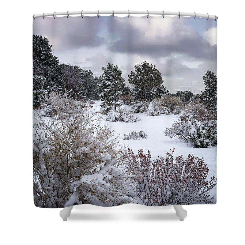 Arizona Shower Curtain featuring the photograph Christmas in the Desert by Will Wagner