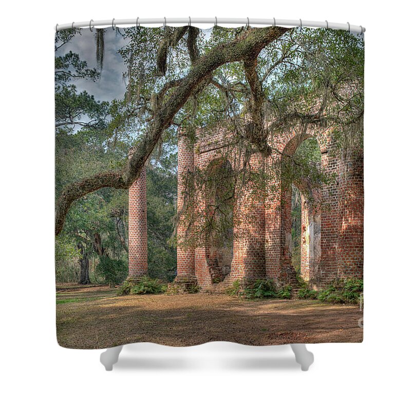 Old Sheldon Church Ruins Shower Curtain featuring the photograph Circa 1753 - Old Sheldon Church Ruins by Dale Powell