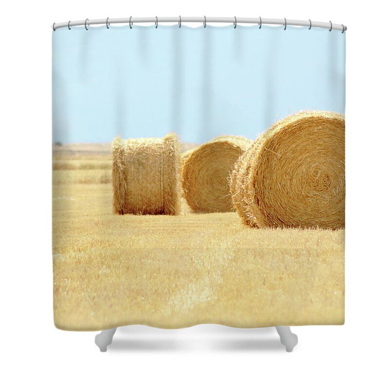 Five Objects Shower Curtain featuring the photograph Circles by C. Romance