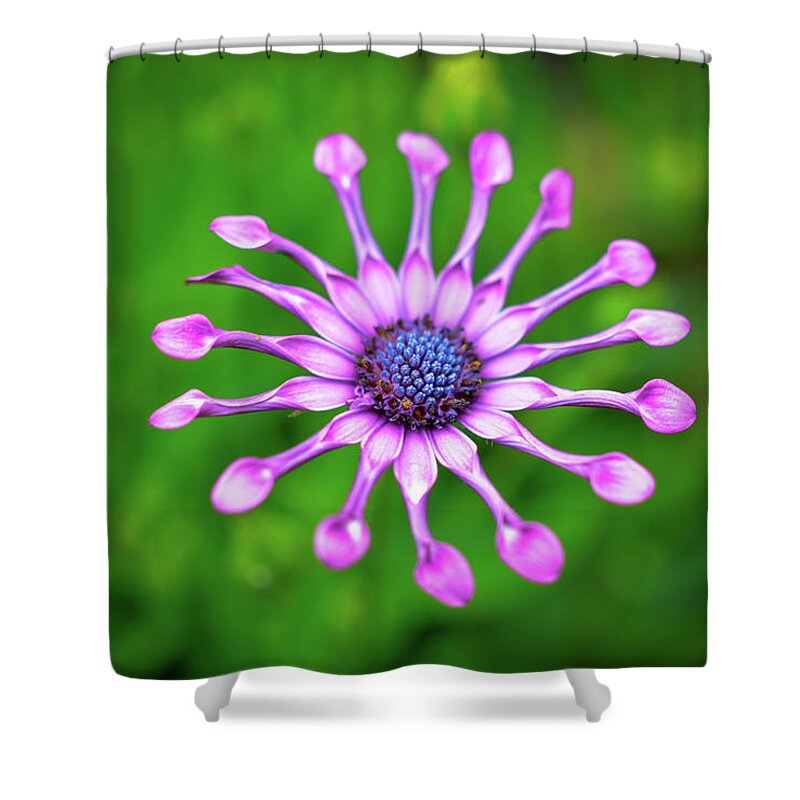 Flower Shower Curtain featuring the photograph Circular by Michelle Wermuth