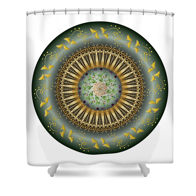 Mandala Shower Curtain featuring the digital art Circumplexical No 3675 by Alan Bennington