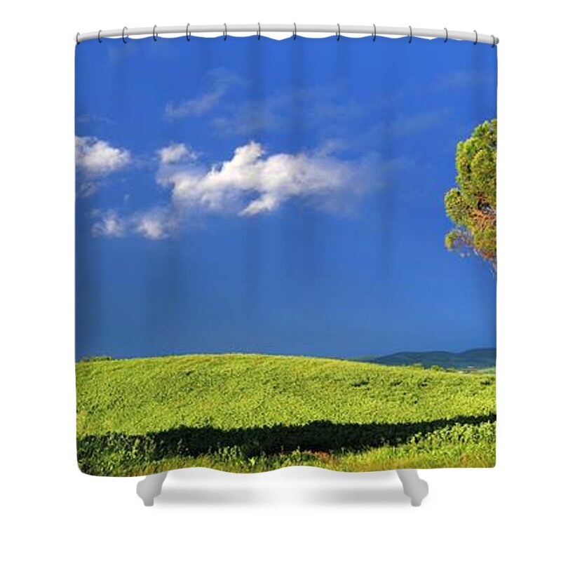 Tranquility Shower Curtain featuring the photograph City Of Pienza And Pine In Tuscany by © Jan Zwilling