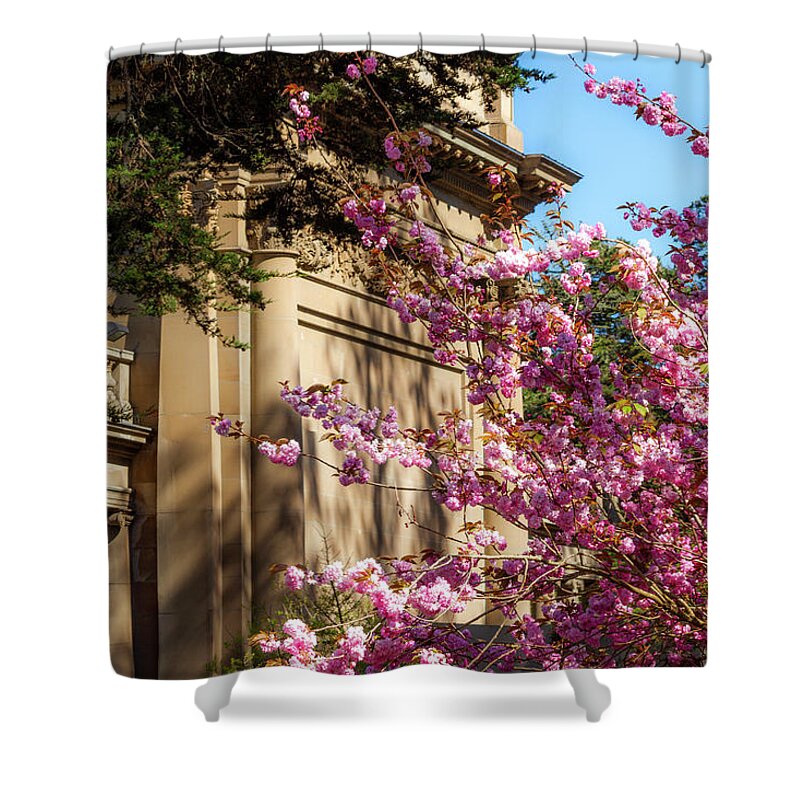 Classical Sakura Shower Curtain featuring the photograph Classical Sakura by Bonnie Follett