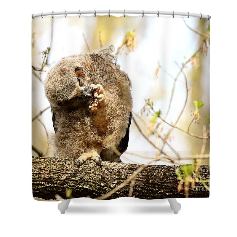 Great Horned Owl Shower Curtain featuring the photograph Cleaning my toes by Heather King