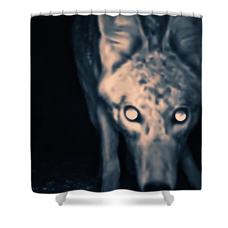 Animal Trail Shower Curtain featuring the photograph Close Enough? by Judy Kennedy