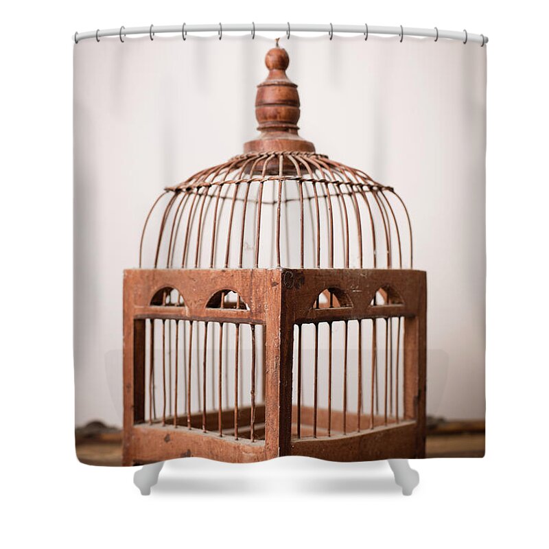 Pets Shower Curtain featuring the photograph Close Up, Color Image Of Vintage Bird by Ideabug