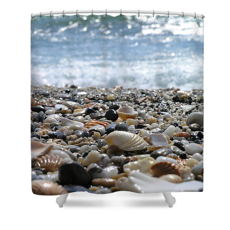 Animal Shell Shower Curtain featuring the photograph Close Up From A Beach by Romeo Reidl