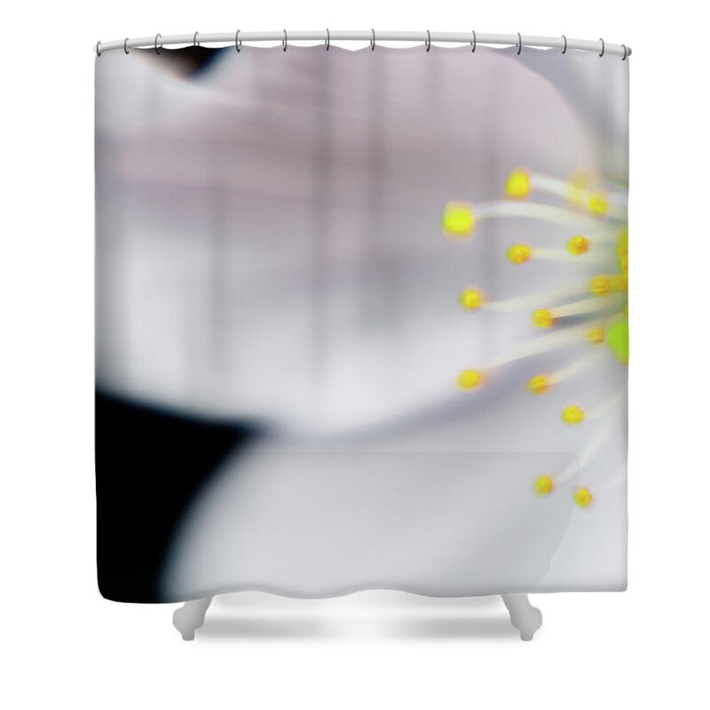 Black Background Shower Curtain featuring the photograph Close Up Of Cherry Flower by Created By Tafari K. Stevenson-howard