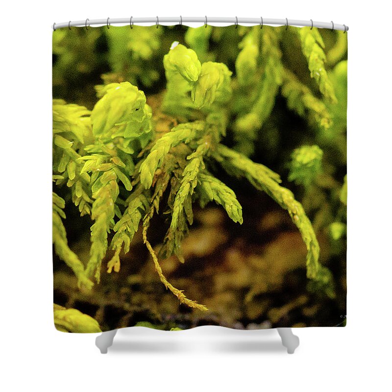 Lake Of The Ozarks Shower Curtain featuring the photograph Close-up of Moss by Al Griffin
