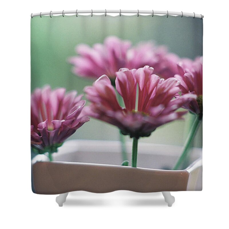 Vase Shower Curtain featuring the photograph Close-up Of Pink Flowers In Vase by Breeze.kaze