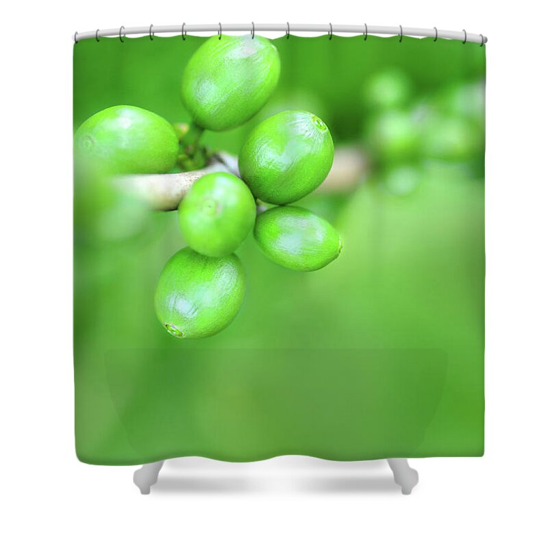 Hanging Shower Curtain featuring the photograph Coffee Beans by Chictype