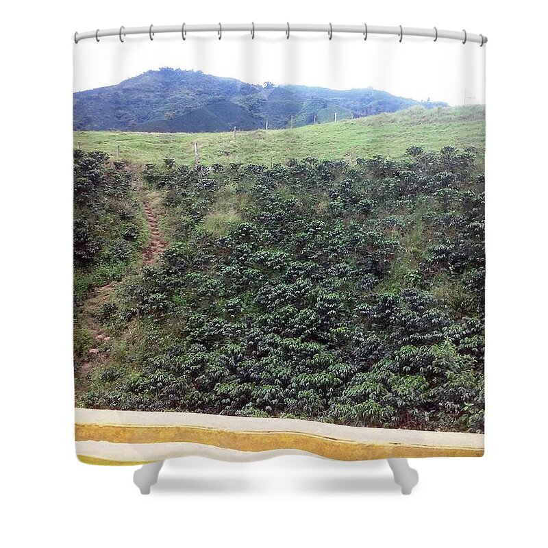  Shower Curtain featuring the photograph coffee plantation from Chinchina, Colombia by Nestor Cardona Cardona