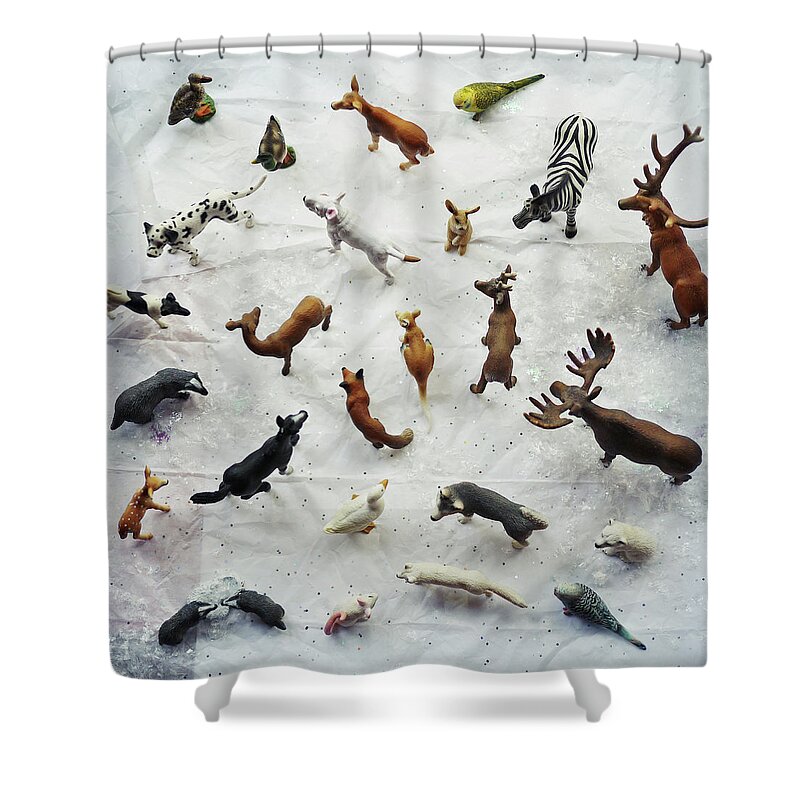 Badger Shower Curtain featuring the photograph Collection Of Small Toy Animals Viewed by Fiona Crawford Watson