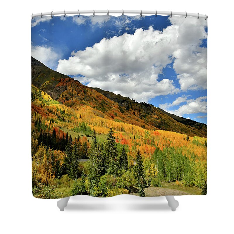  Shower Curtain featuring the photograph Color in the Spotlight at Red Mountain Pass by Ray Mathis