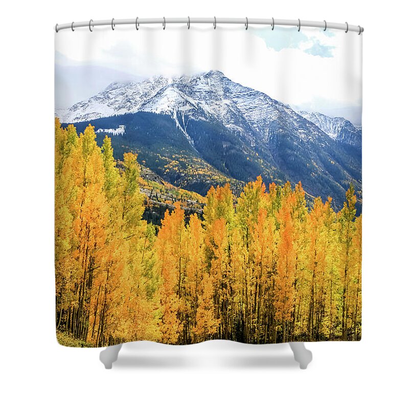 Aspen Tree Shower Curtain featuring the photograph Colorado Aspens and Mountains 2 by Dawn Richards