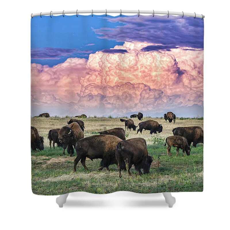 Bison Shower Curtain featuring the photograph Colorado Bison by Christopher Thomas