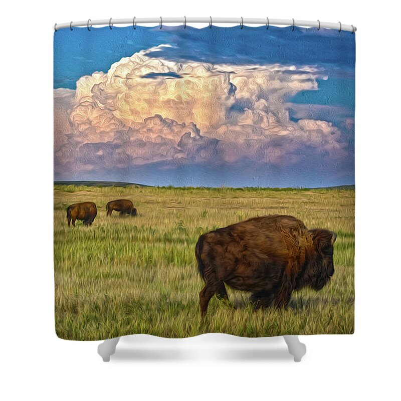 Bison Shower Curtain featuring the photograph Colorado Bison Herd by Christopher Thomas
