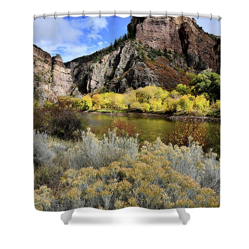  Shower Curtain featuring the photograph Colorado River Aspens in Color by Ray Mathis