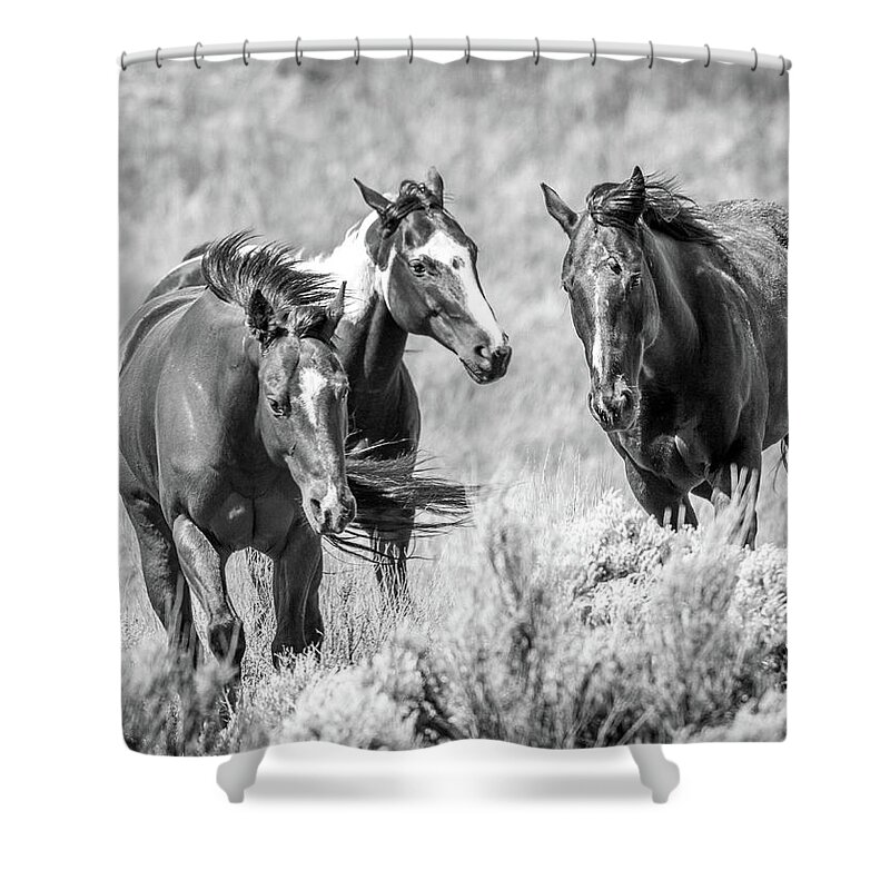 Grosbeak Shower Curtain featuring the photograph Colorado's Finest by Kevin Dietrich