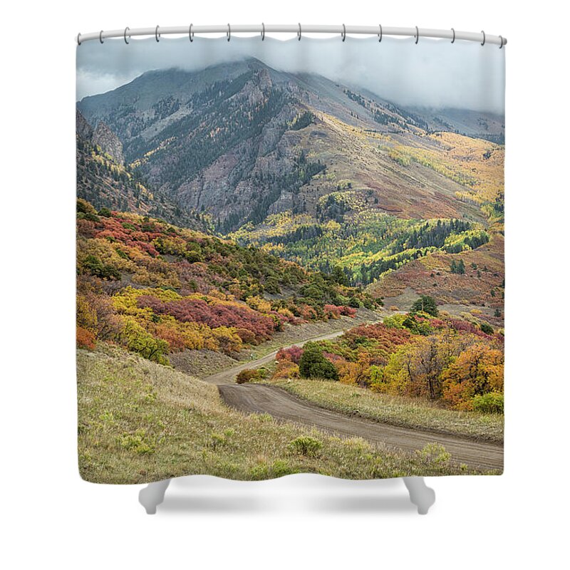 Colorado Shower Curtain featuring the photograph Colorful Autumn Oak Brush by Denise Bush
