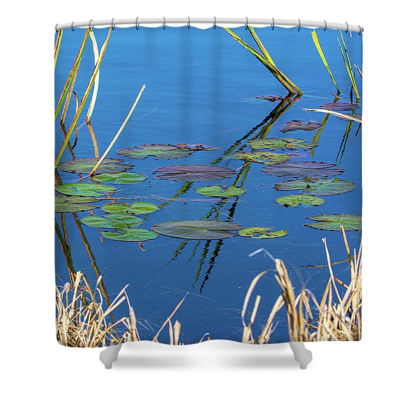 Savannah Shower Curtain featuring the photograph Colorful Winter Lilypads by Douglas Wielfaert