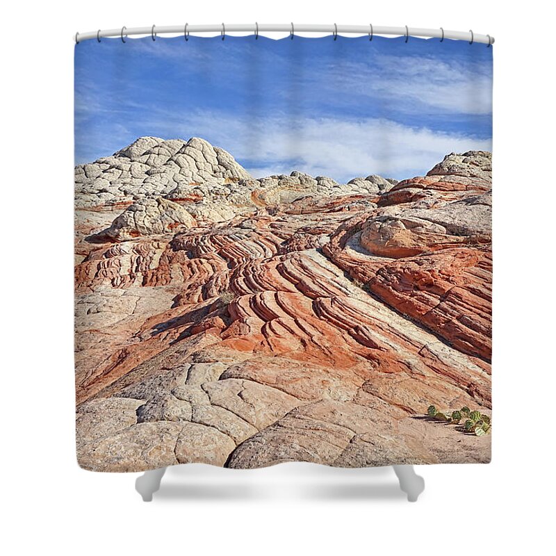 White Pocket Shower Curtain featuring the photograph Colors and Textures by Theo O'Connor