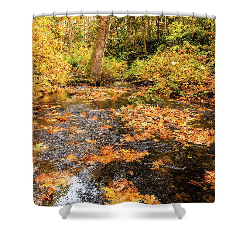 Landscapes Shower Curtain featuring the photograph Colours Of Fall by Claude Dalley