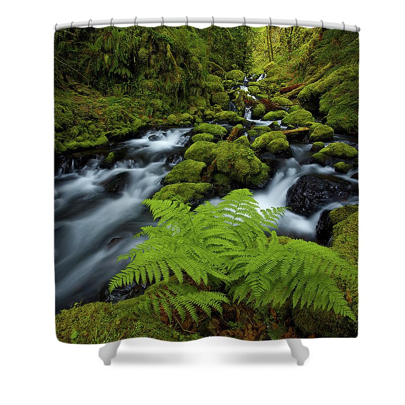 Scenics Shower Curtain featuring the photograph Columbia Gorge Wilderness by Darren White Photography