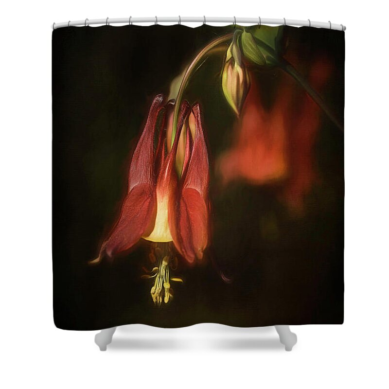 Columbine Shower Curtain featuring the photograph Columbine by Cindi Ressler