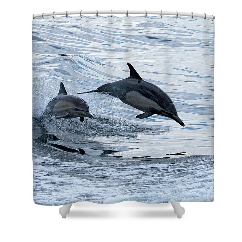Wake Shower Curtain featuring the photograph Common Dolphins by Greg Boreham (treklightly)