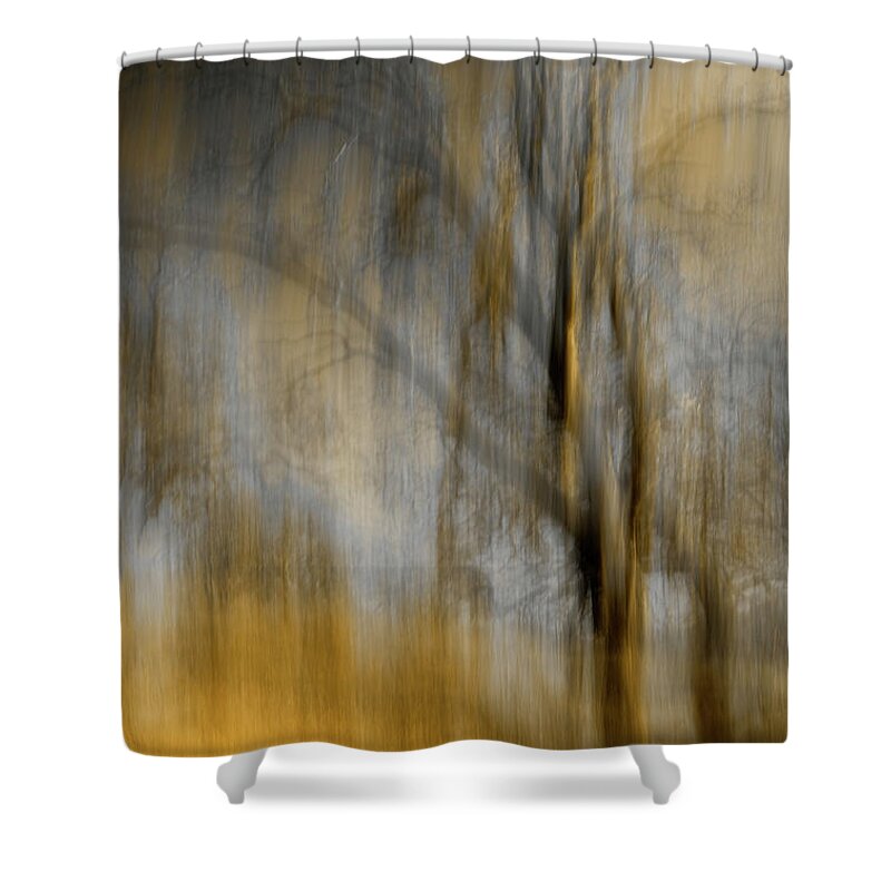 Spooky Shower Curtain featuring the photograph Composited Image Of Trees by Diane Miller