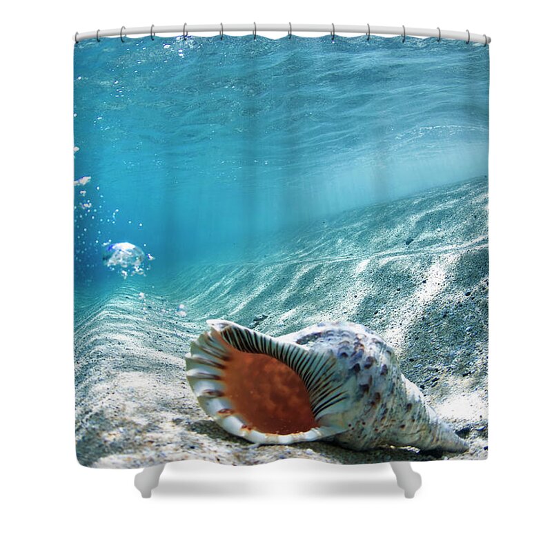  Shell Shower Curtain featuring the photograph Conch Shell Bubbles by Sean Davey