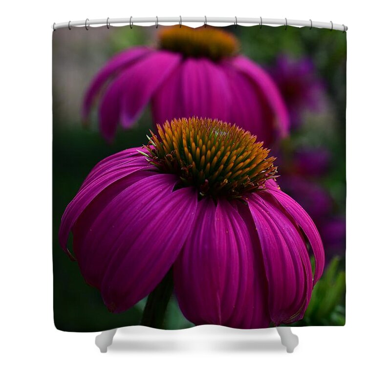 Flowers Shower Curtain featuring the photograph Cones by Jimmy Chuck Smith