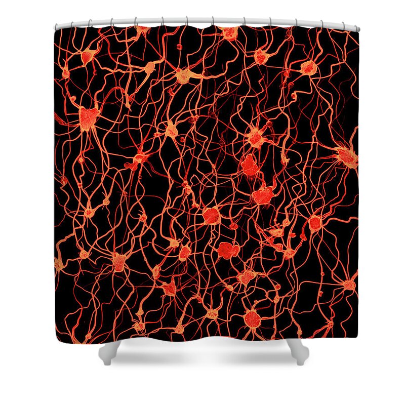 Wired Shower Curtain featuring the mixed media Connected by David Gordon