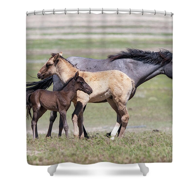 Wild Horses Shower Curtain featuring the photograph Contrasts by Mary Hone