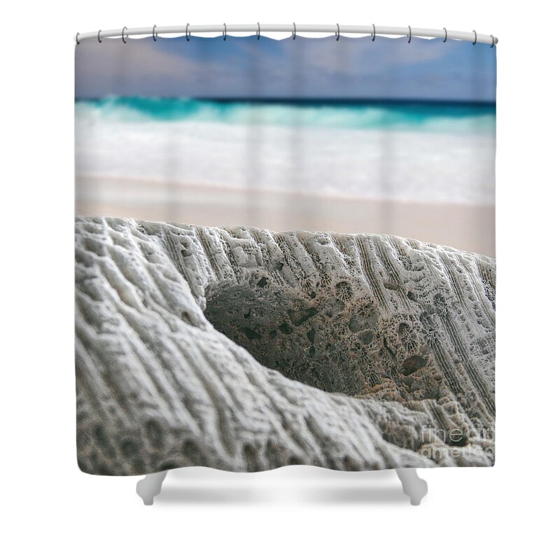 Coral Reef Shower Curtain featuring the photograph Coral By The Sea by Phil Perkins