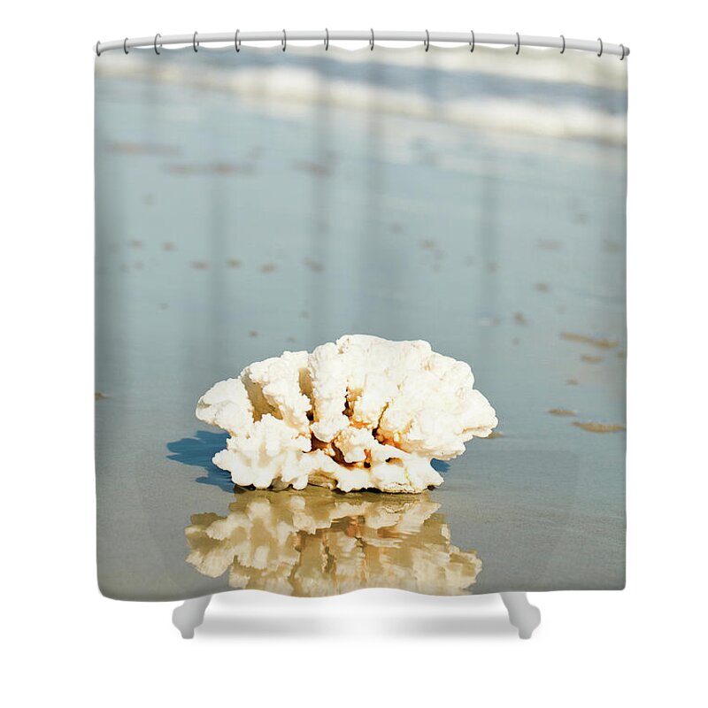 Coral Shower Curtain featuring the photograph Coral Reflection by Susan Bryant