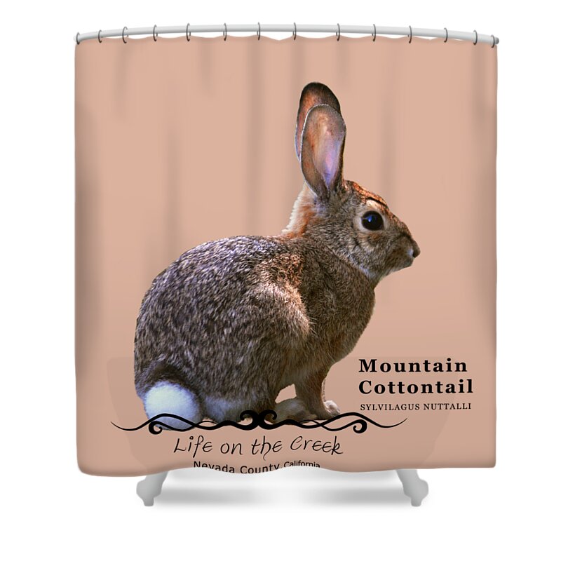 Cottontail Shower Curtain featuring the digital art Cottontail Rabbit by Lisa Redfern