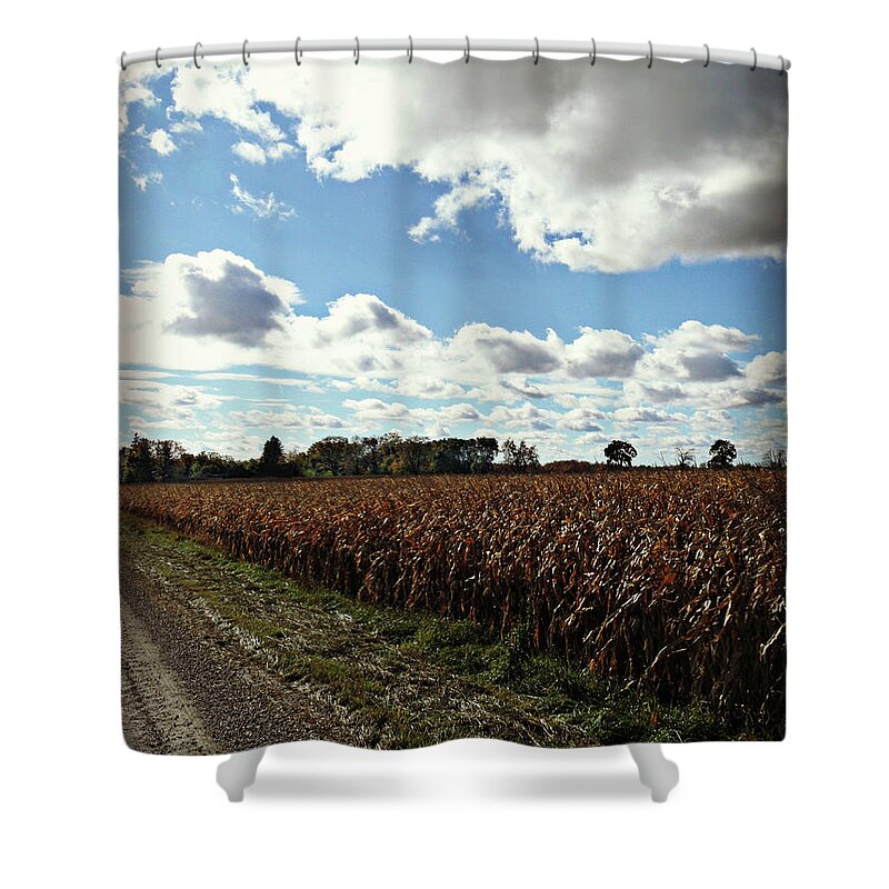 Country Autumn Curves Shower Curtain featuring the photograph Country Autumn Curves 2 by Cyryn Fyrcyd