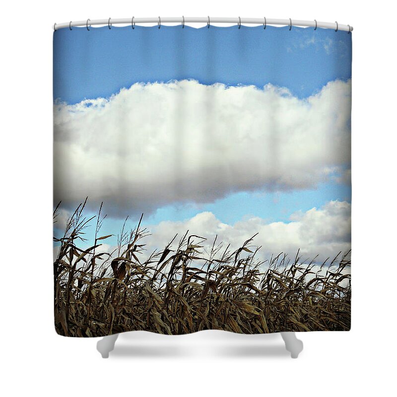 Country Autumn Curves Shower Curtain featuring the photograph Country Autumn Cuves 5 by Cyryn Fyrcyd